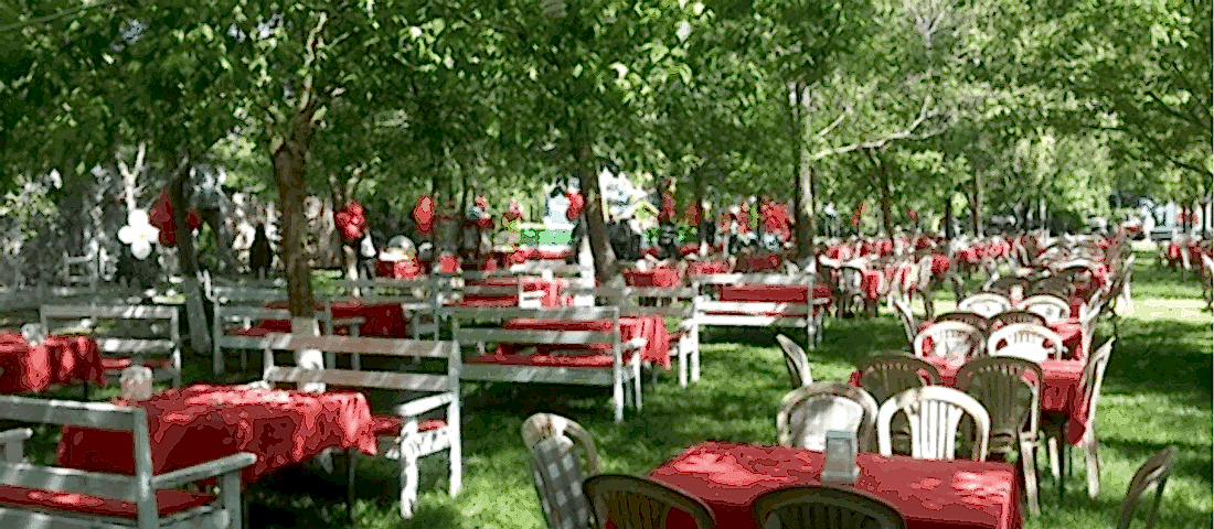 Piknik Organizasyonu