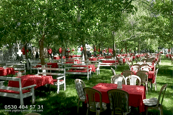 Piknik Organizasyonu