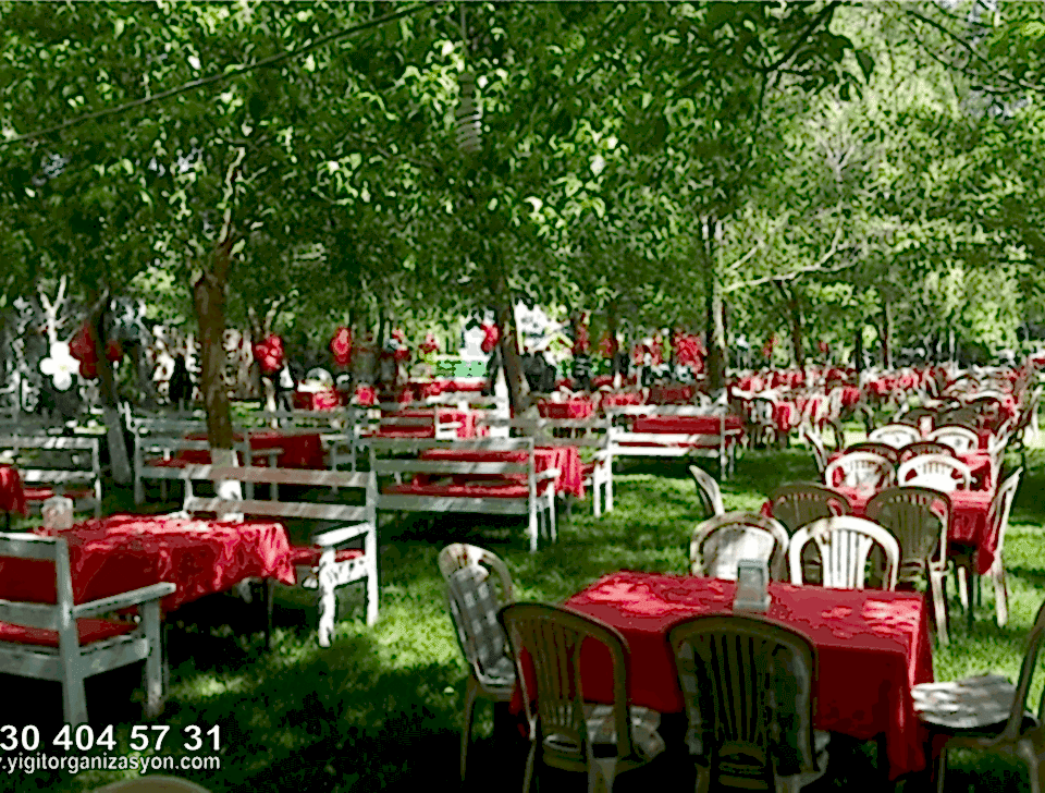 Piknik Organizasyonu